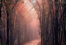 福彩开奖体彩大乐透开奖结果查询,体彩开奖号大乐透开奖结果