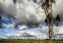 体彩排列三排列五今晚预测,排三排五预测推荐