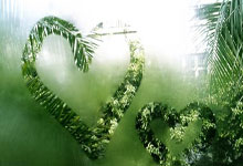 福彩双色球开奖结果查询开奖规则,中几个号才能中奖