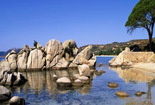 双色球走势图走势图新浪彩票,双色球走势图新浪双色球开奖